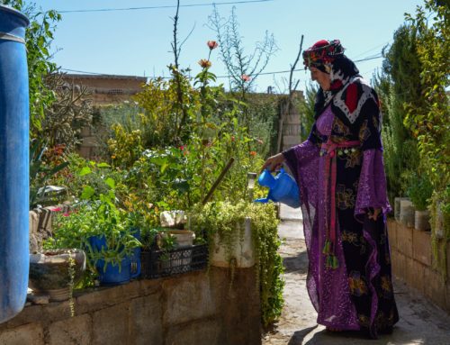 ‘Daughter of Kurds’: Meet the social media queen fighting to preserve rural cultural heritage in northeastern Syria (Photos)