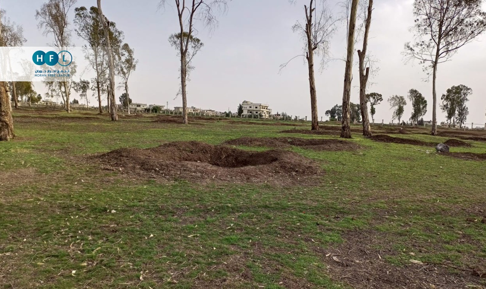 Small pits mark the places where trees once stood in al-Muzayrib, a town in the western Daraa countryside, before they were felled, reportedly by local armed groups, 20/3/2023 (Horan Free League)