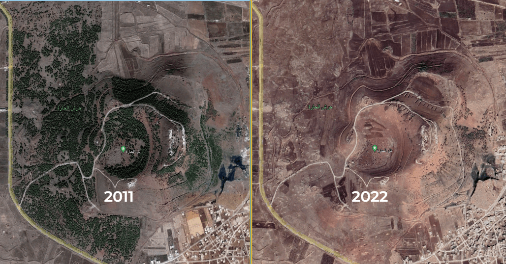 Satellite images reveal how the Tal al-Hara woods, in the northwest of Syria’s southern Daraa province, were all but stripped bare by logging between October 2011 and November 2022. (Google Earth)