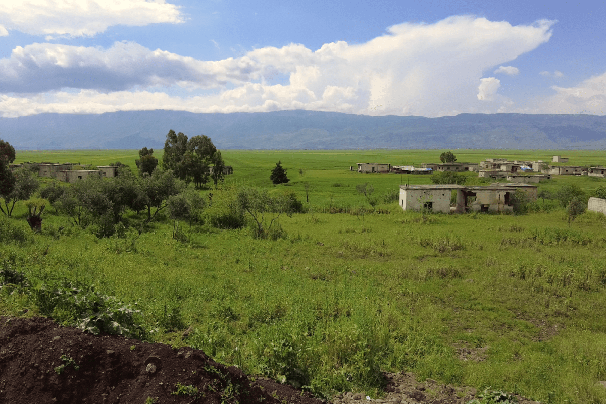 صورة أراض زراعية في سهل الغاب، ويطل عليها جبل تتمركز فيه قوات النظام السوري، 10/ 05/ 2024، (عبد الرزاق الشامي/ سوريا على طول)
