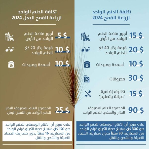 An infographic based on figures provided by economist Sirius Abdulmassih lays out the estimated cost of producing a kilogram of irrigated (right) and rain-fed (left) wheat. (Salim Abdulmassih/Bahaa Burhan)